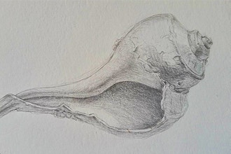 Drawing from Nature with Silverpoint